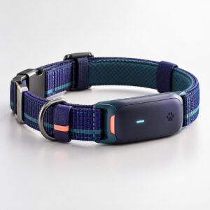 CollarFeed - Smart Collar